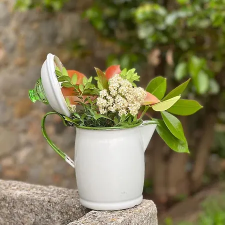 Bartro De Orfans * Orfes